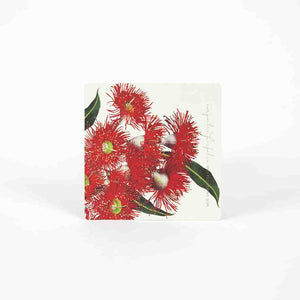 DRINK COASTERS - EUCALYPTUS - Jamjo Online