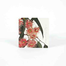 Load image into Gallery viewer, DRINK COASTERS - EUCALYPTUS - Jamjo Online