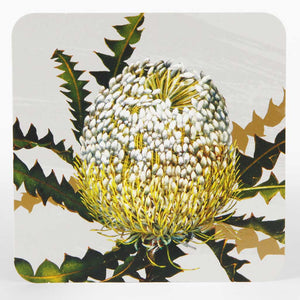 DRINK COASTERS - WHITE COLLECTION - Jamjo Online